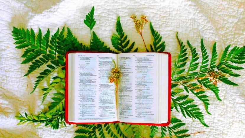 世界詩歌日:失落的語言呼喚人類靈性美善