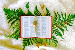 世界詩歌日：失落的語言呼喚人類靈性美善