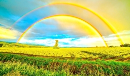 世界地球日快樂！環境保護4式人人做得到