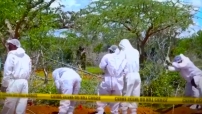 肯亞邪教信徒遭洗腦90人餓死 分析宗教自由被濫用