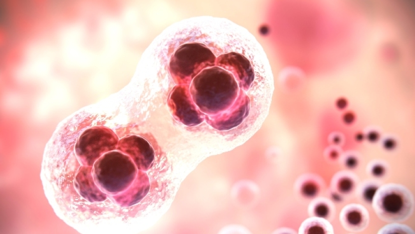 我是誰?英國首批「三親嬰兒」疑越過倫理底線