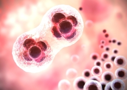 我是誰?英國首批「三親嬰兒」疑越過倫理底線