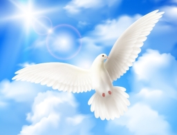 「願祢的國降臨」祈禱運動 迎接耶穌升天後五旬聖靈