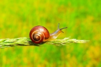 後疫情時代報復式事工？ 「比慢精神」教會添人情味