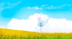 協進會「生態關懷主日」禱文：詠嘆上帝造物共創美好世界　