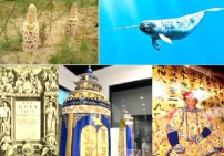 影音使團特備節目:步行探秘「不由你不信」福音體驗館