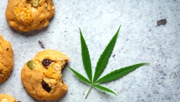 娛樂性大麻遺禍:嬰兒早產男性患精神分裂