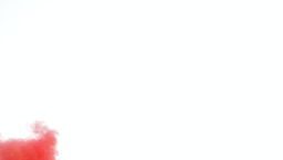 地震、颶風、洪水、戰亂:基督教協進會呼籲「為世界祈禱」