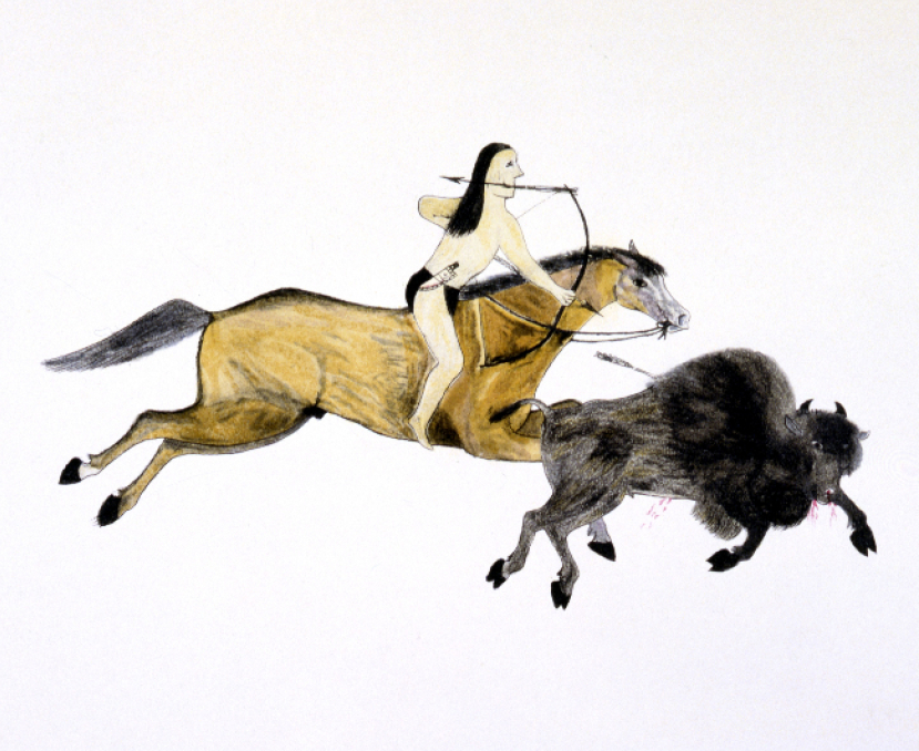 研究：人類比獅子兇猛兩倍 尊重動物展示敬畏上帝