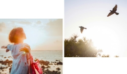 何傑牧師解讀以賽亞書:以色列聖者的救贖情懷