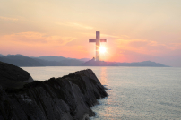 調查：7成機構財政收入持負面 8成不會暫停運作