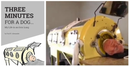 鐵肺人自傳《狗狗的三分鐘》爆發毅力跨越身心障礙