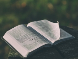 2024年《聖經》銷量激增 越多人轉向聖經尋求指引和穩定感