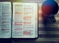 「如何高效靈修」乾貨教學 讓親近神能滿滿收穫!