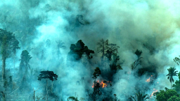 協進會生態關懷主日 夏志誠主教反思「治理大地」使命