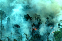 協進會生態關懷主日 夏志誠主教反思「治理大地」使命