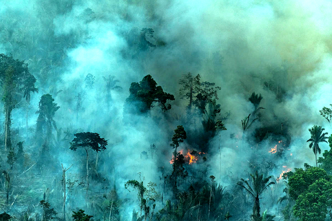 協進會生態關懷主日 夏志誠主教反思「治理大地」使命