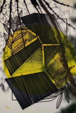 【當代藝粹】楊青:不可估量的光