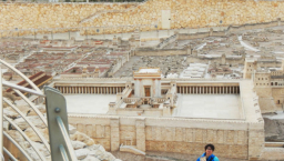 張文偉談漫畫奇緣 歷盡千辛《我是王》日本全線書店上架 　　