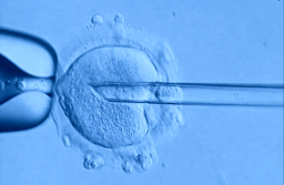 新基因工程技術誕「三人DNA嬰兒」用人類胚胎實驗引倫理爭議