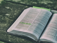 調查顯示：美信徒在性與婚姻議題上對聖經權威信心減弱