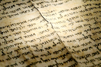 千年聖卷全貌首現！以色列博物館60週年重磅展出《以賽亞書》全卷